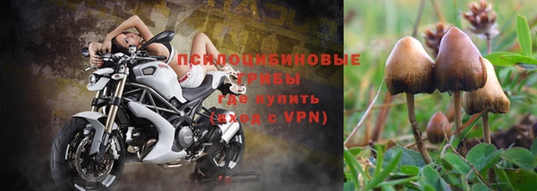 мескалин Алексин